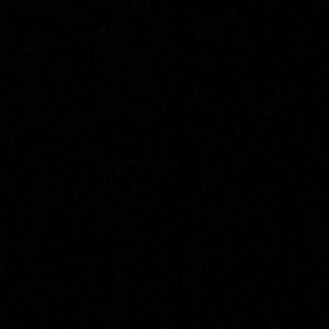 Meet your Posher, Dane